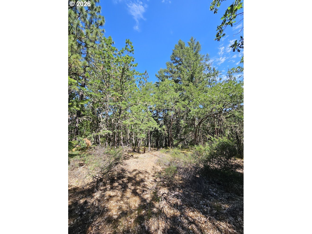 Lovers Lane Lyle, WA 98635 - Photo 22 of 25