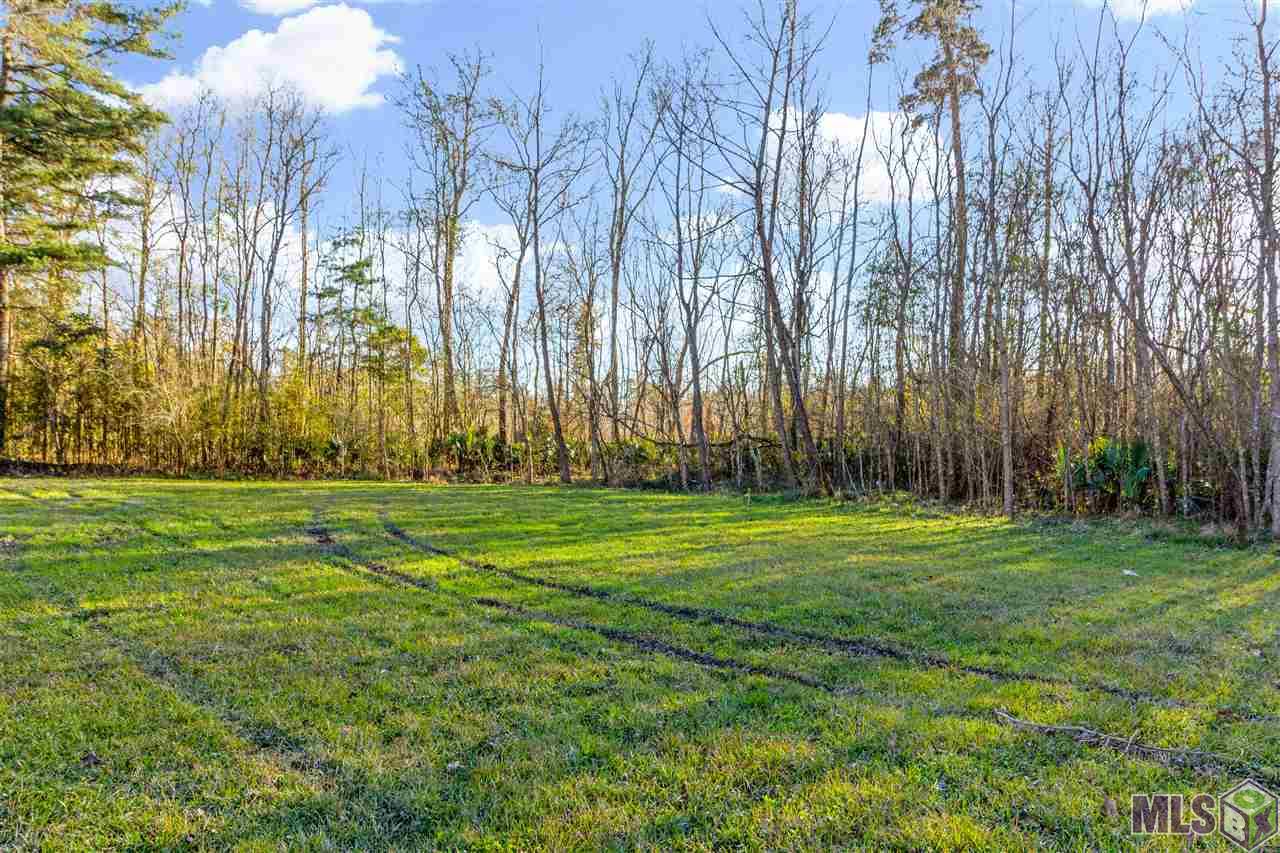 21362 Dewitt May Road Livingston, LA 70754 - Photo 20 of 21 REAR RIGHT SIDE OF YARD