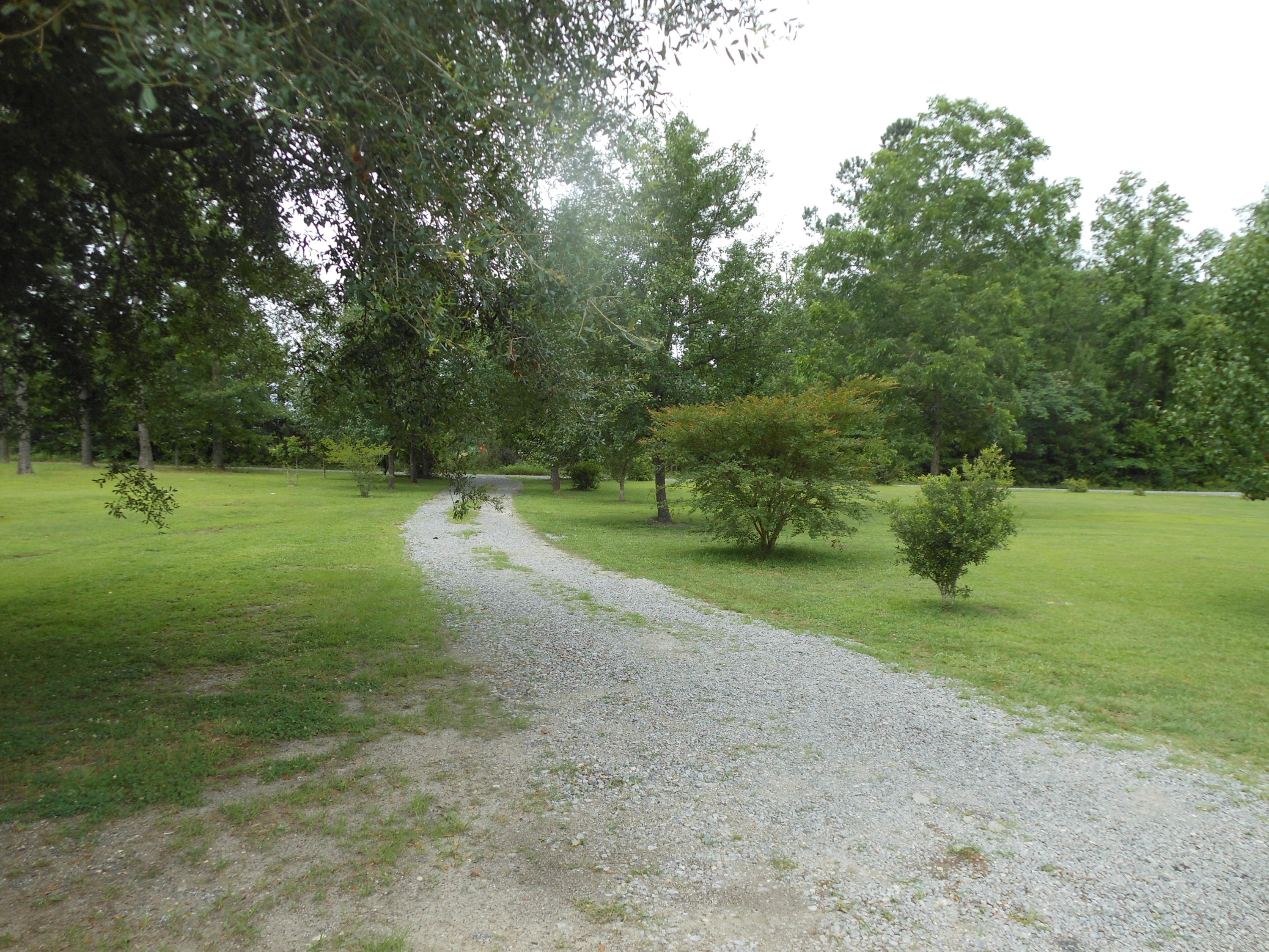 720 Rabon Run Ridgeville, SC 29472 - Photo 47 of 47 DSCN2059