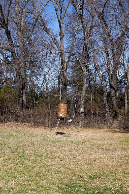 2448 County Road 2125 Ivanhoe, TX 75447 - Photo 32 of 40