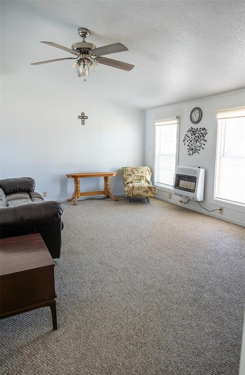 2448 County Road 2125 Ivanhoe, TX 75447 - Photo 10 of 40