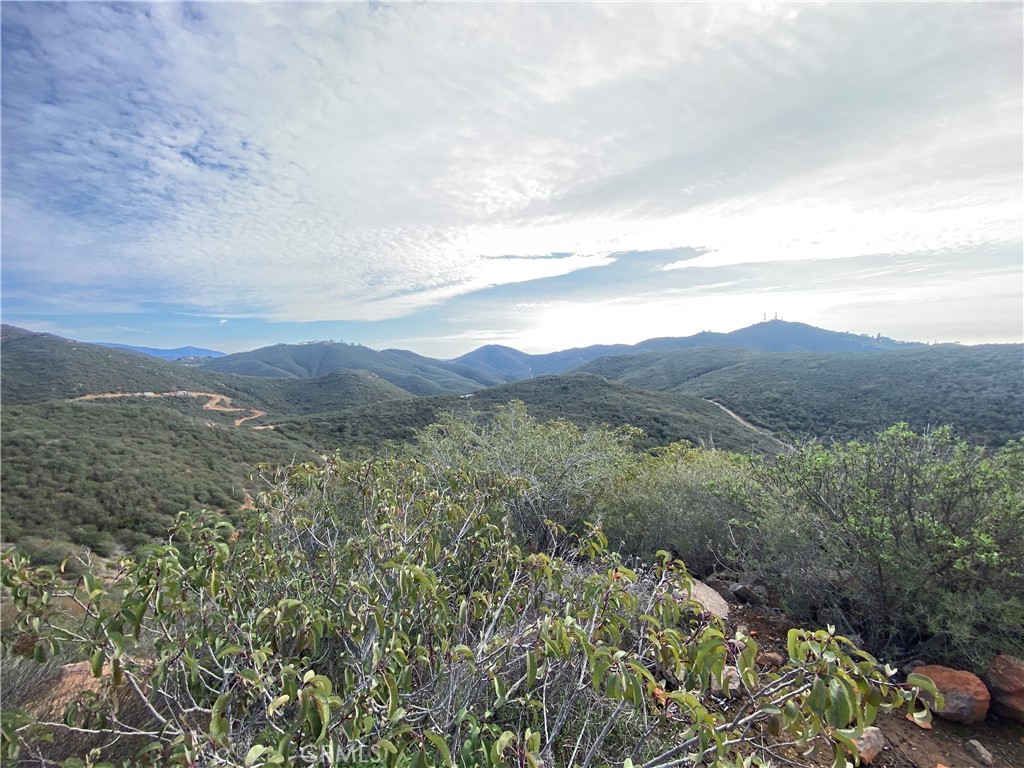3496 Aspen Road Fallbrook, CA 92028 - Photo 1 of 1 a view of a city with lush green forest