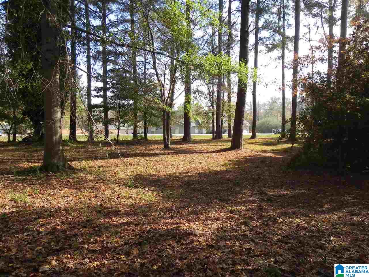 233 Bedwell Street Heflin, AL 36264 - Photo 5 of 43