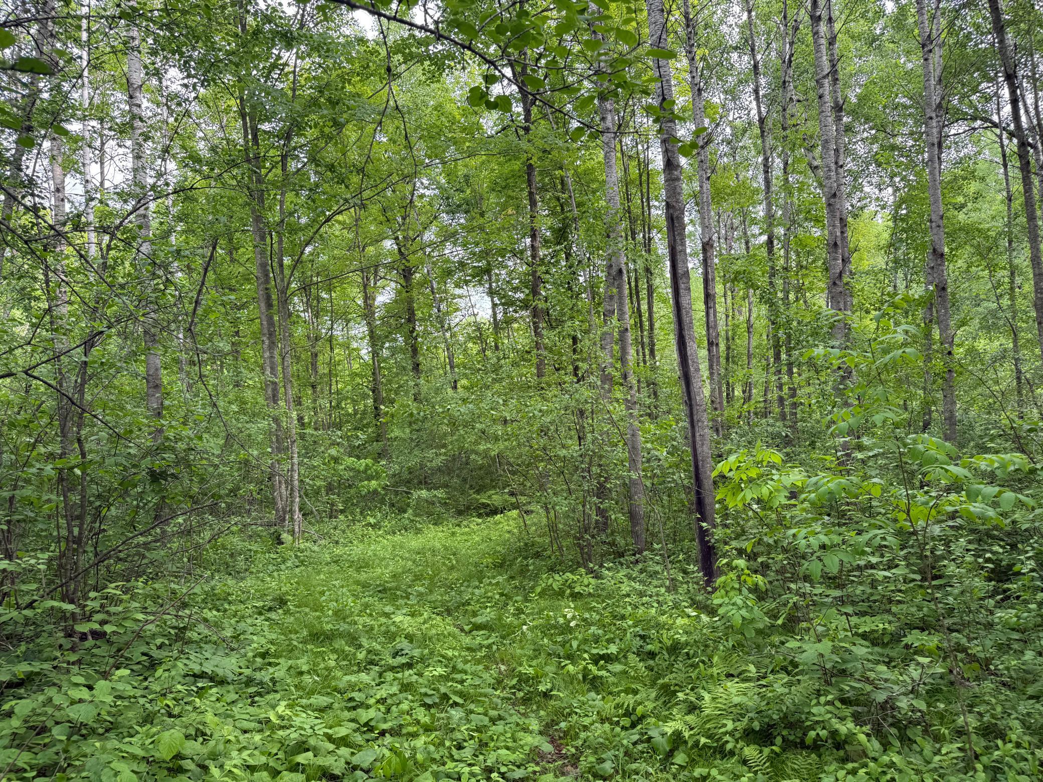 10551 Mallard Road Brook Park, MN 55007 - Photo 14 of 44
