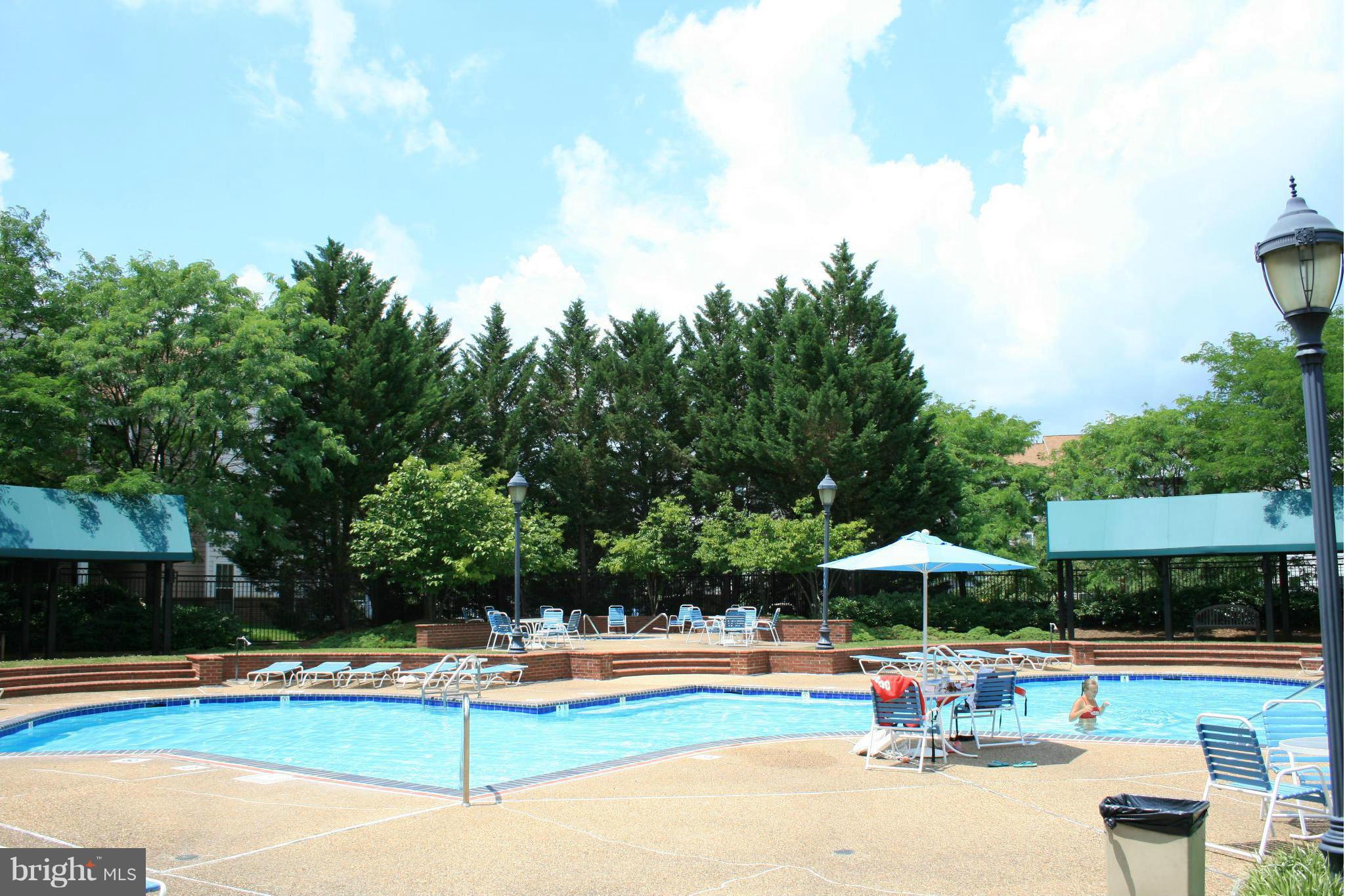20977 Timber Ridge Terrace, Unit 103 Ashburn, VA 20147 - Photo 11 of 12 Community Pool