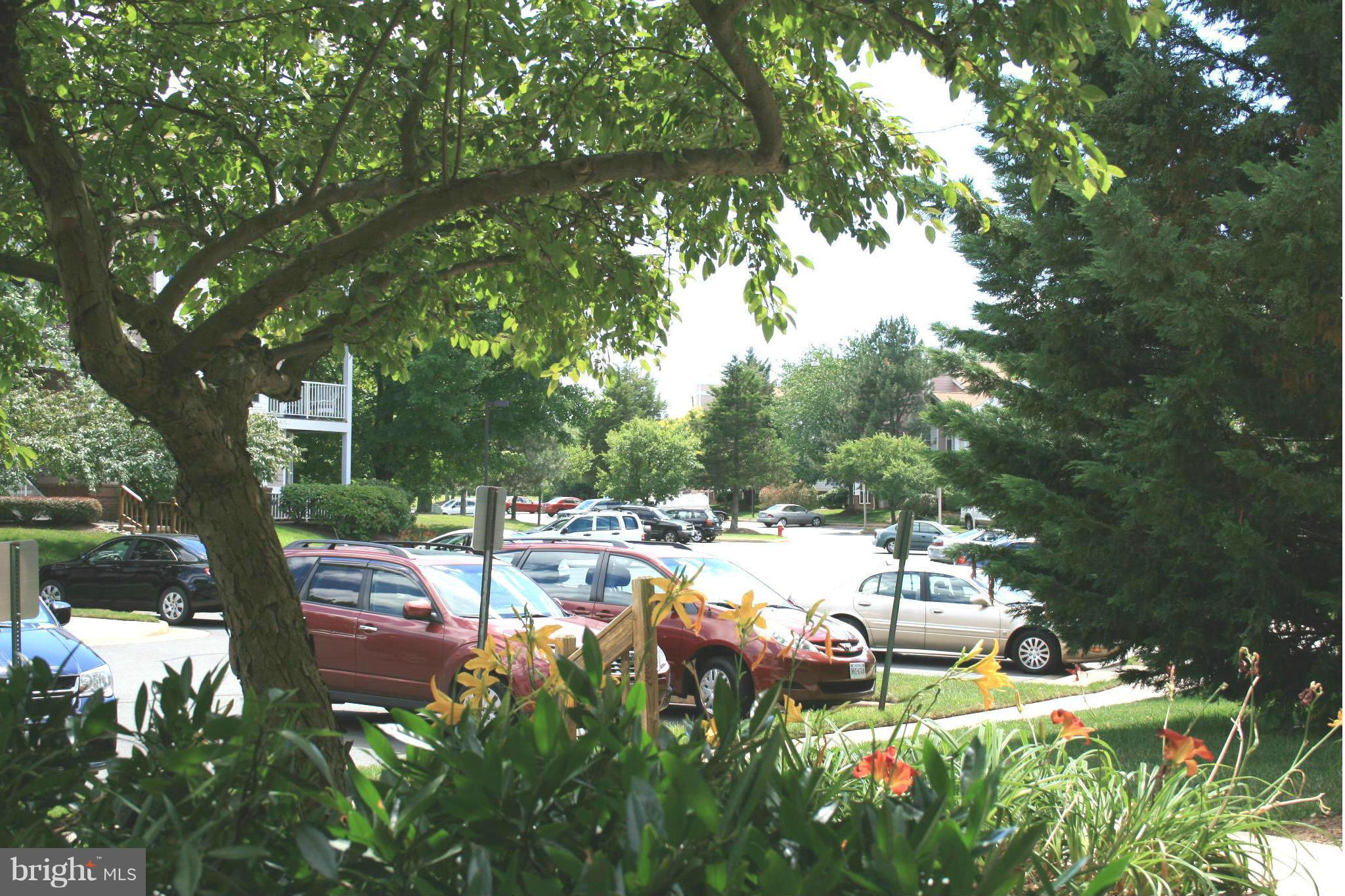 20977 Timber Ridge Terrace, Unit 103 Ashburn, VA 20147 - Photo 5 of 12 View from the patio - lots of foliage!