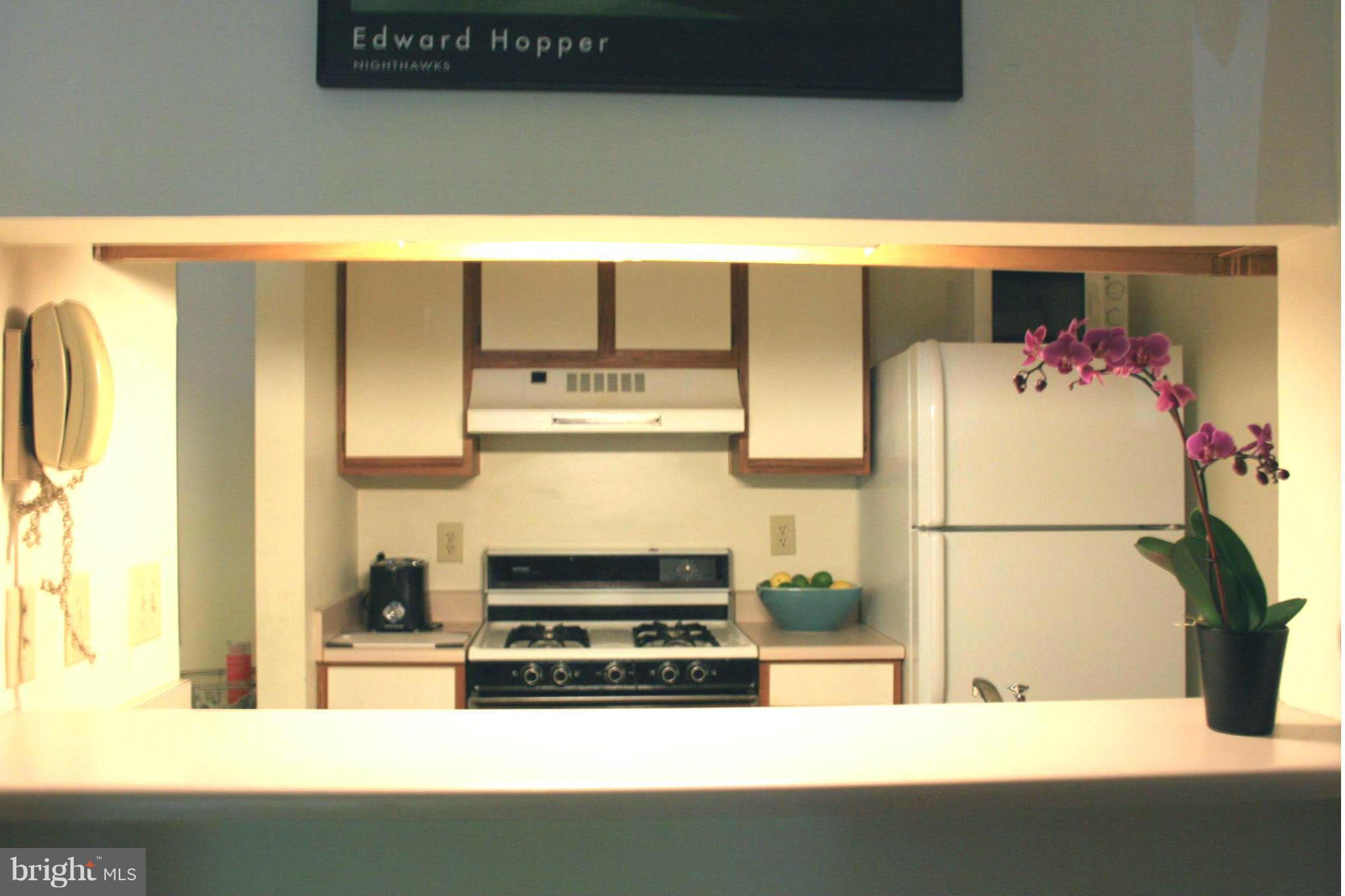 20977 Timber Ridge Terrace, Unit 103 Ashburn, VA 20147 - Photo 7 of 12 Kitchen