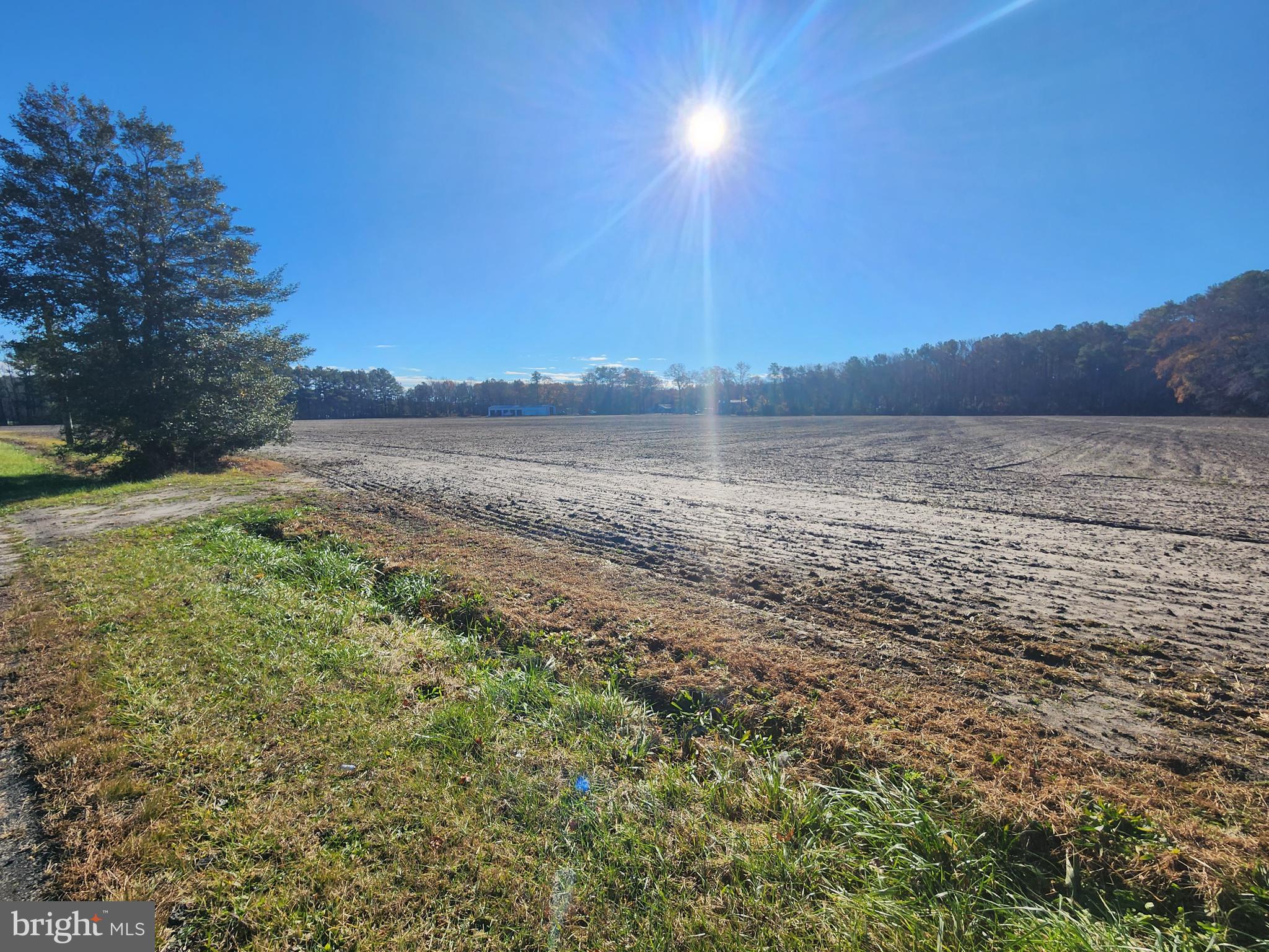 Lot Unit 1 Pepperbox Laurel De