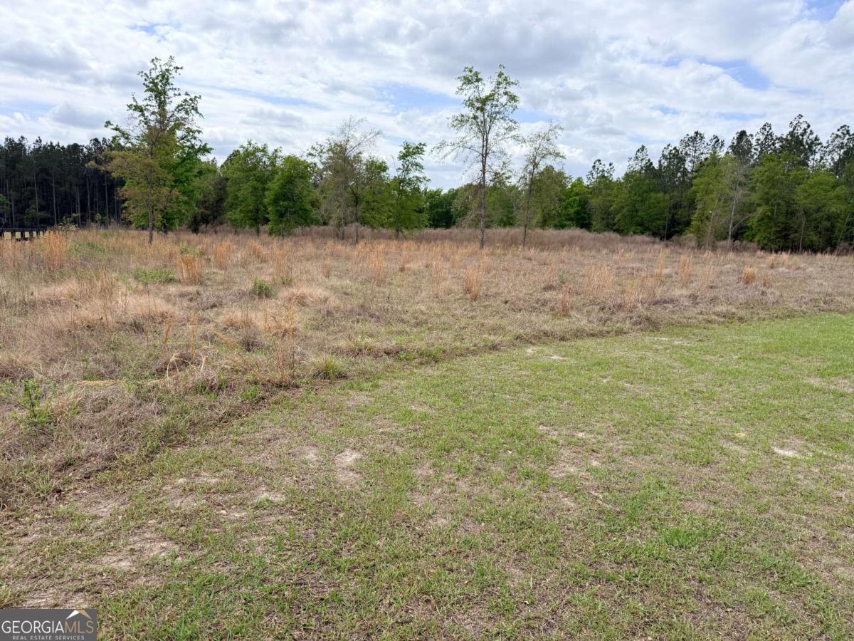 7518 Buck Head Road Baxley, GA 31513 - Photo 3 of 24