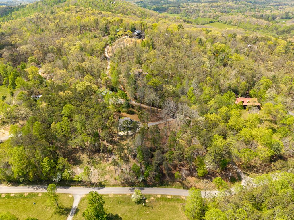 61 Overlook Road Blue Ridge, GA 30513 - Photo 46 of 57