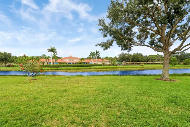 a view of a garden with large trees