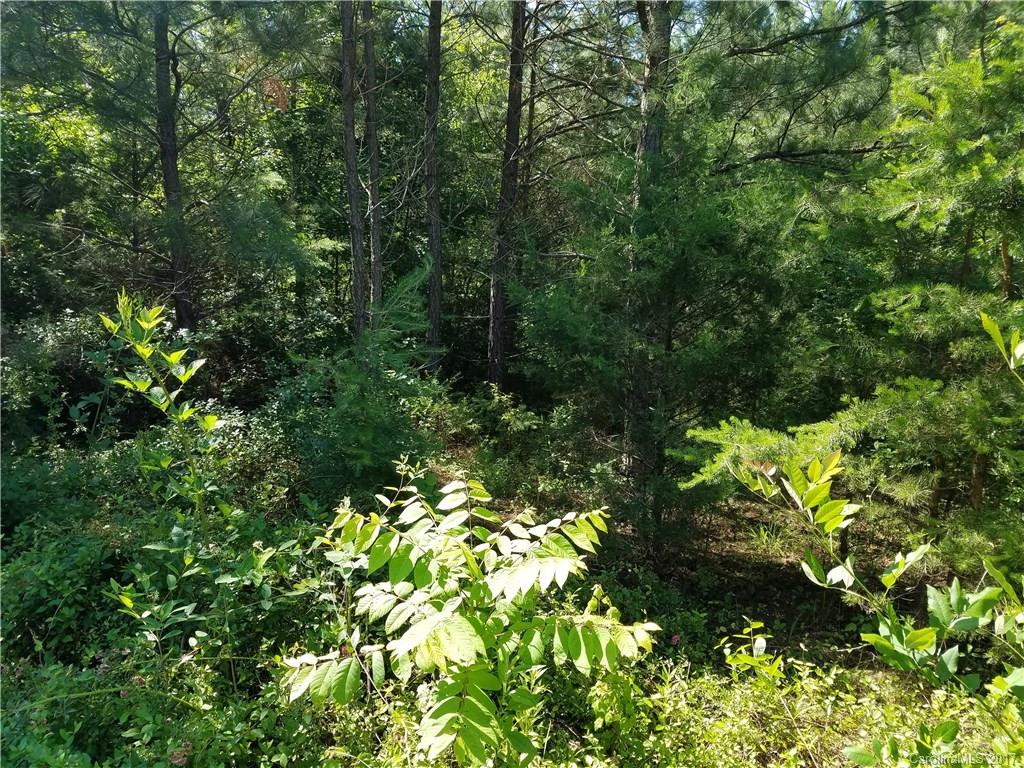 1915 Water Plant Road Maiden, NC 28650 - Photo 3 of 10 Gallery Image 3
