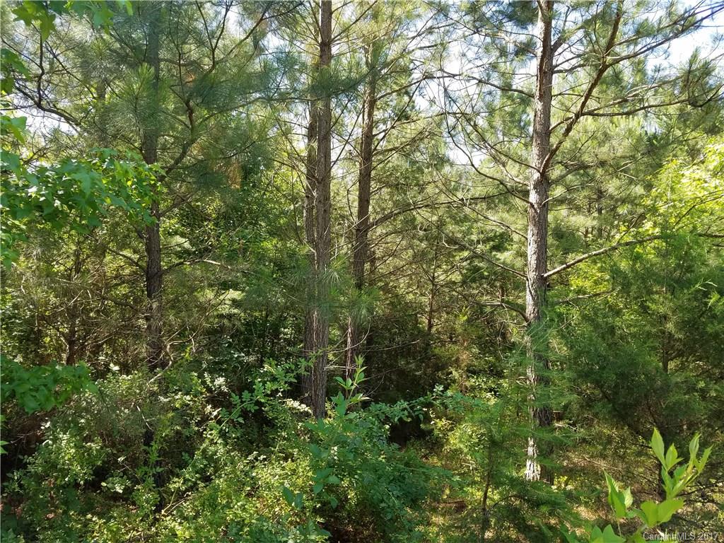 1915 Water Plant Road Maiden, NC 28650 - Photo 4 of 10 Gallery Image 4