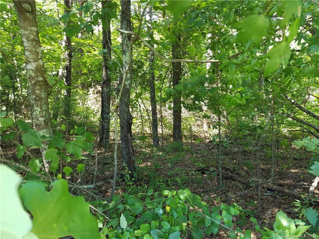 1915 Water Plant Road Maiden, NC 28650 - Photo 8 of 10 Gallery Image 8