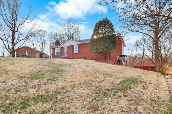 a view of a yard with a large tree