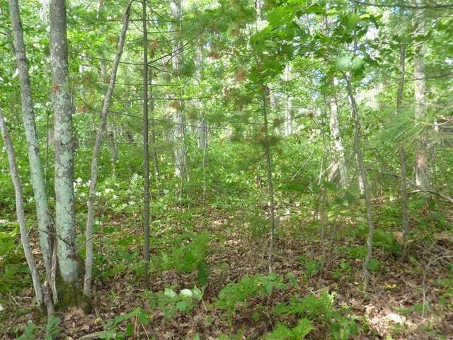 Lot 11 Thorofare Road Minocqua, WI 54548 - Photo 13 of 15 Gallery Image 13
