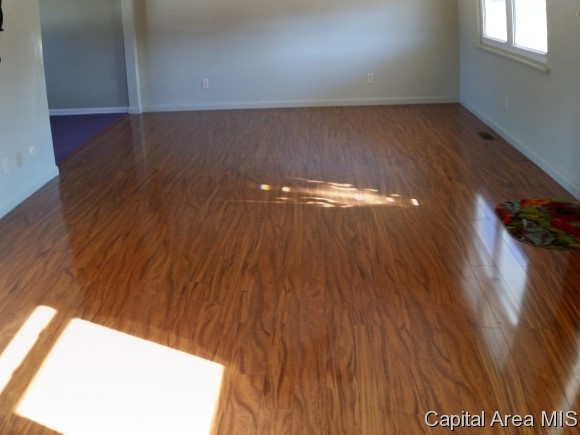 2501 East Griffiths Avenue Springfield, IL 62702 - Photo 3 of 20