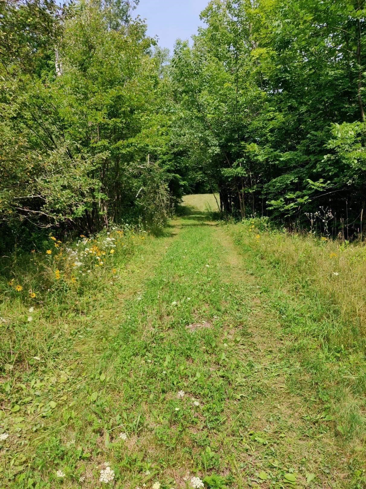 Lot 4 Garney Road Brookfield, NH 03872 - Photo 4 of 9