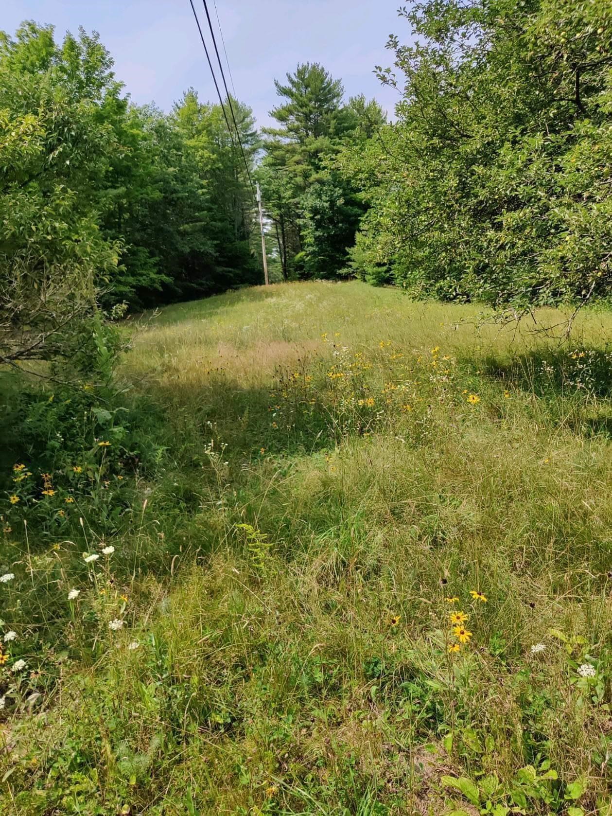 Lot 4 Garney Road Brookfield, NH 03872 - Photo 5 of 9
