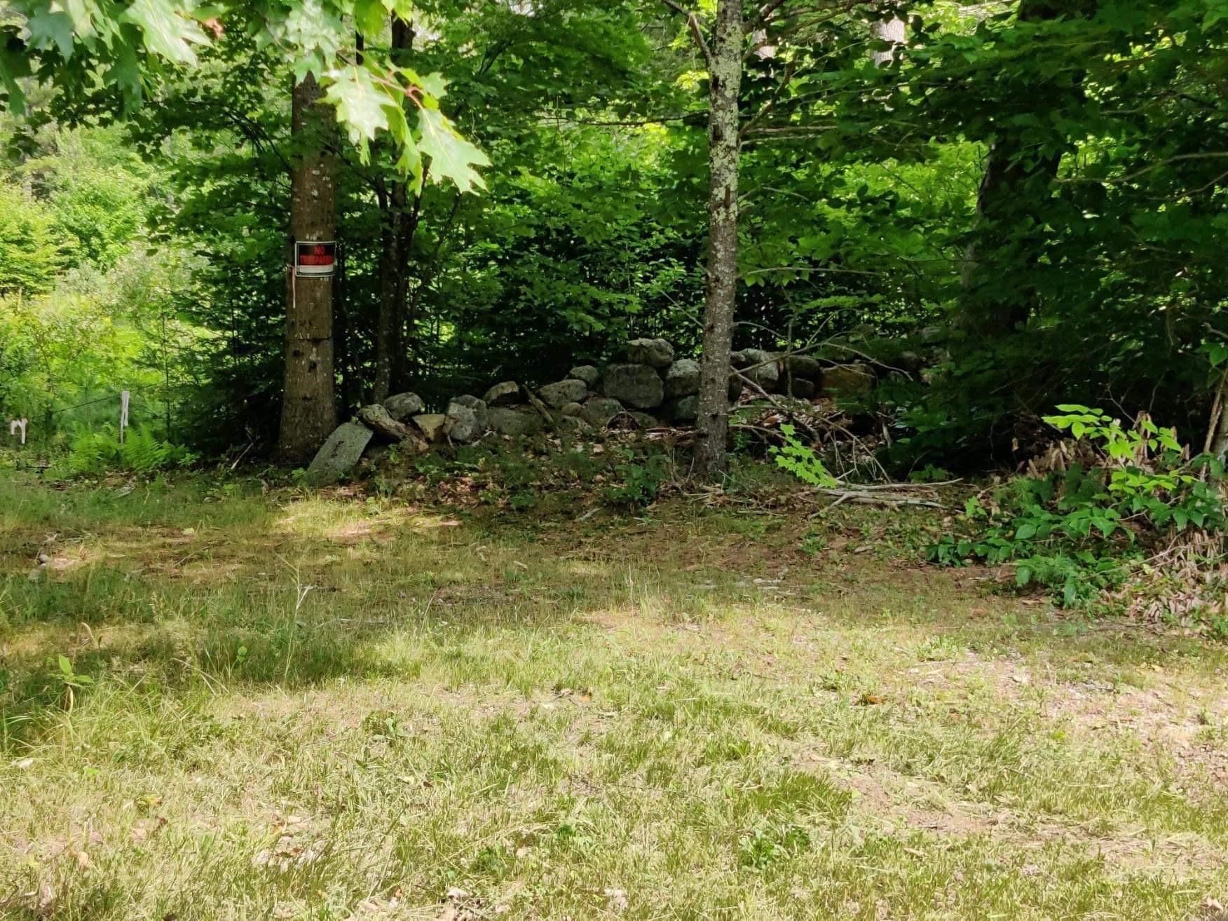 Lot 4 Garney Road Brookfield, NH 03872 - Photo 6 of 9