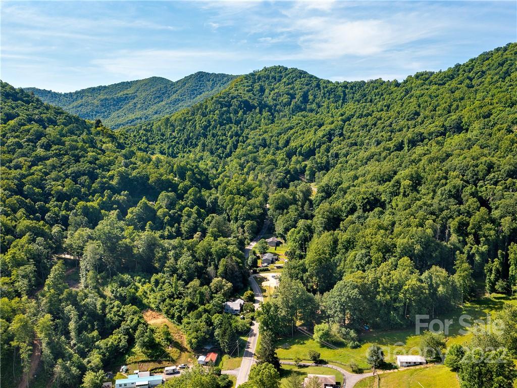 1908 Kims Cove Road Canton, NC 28716 - Photo 30 of 31 a view of a lush green forest with houses