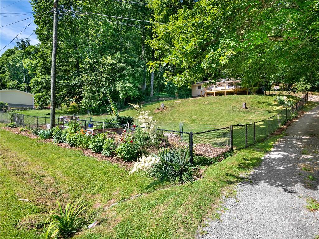 1908 Kims Cove Road Canton, NC 28716 - Photo 3 of 31 a view of a garden with large trees