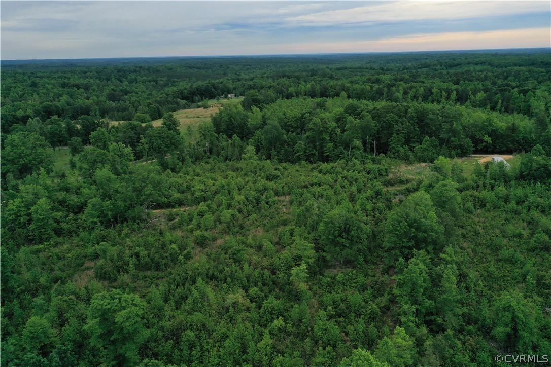 3567 Poorhouse Road Victoria, VA 23974 - Photo 31 of 39