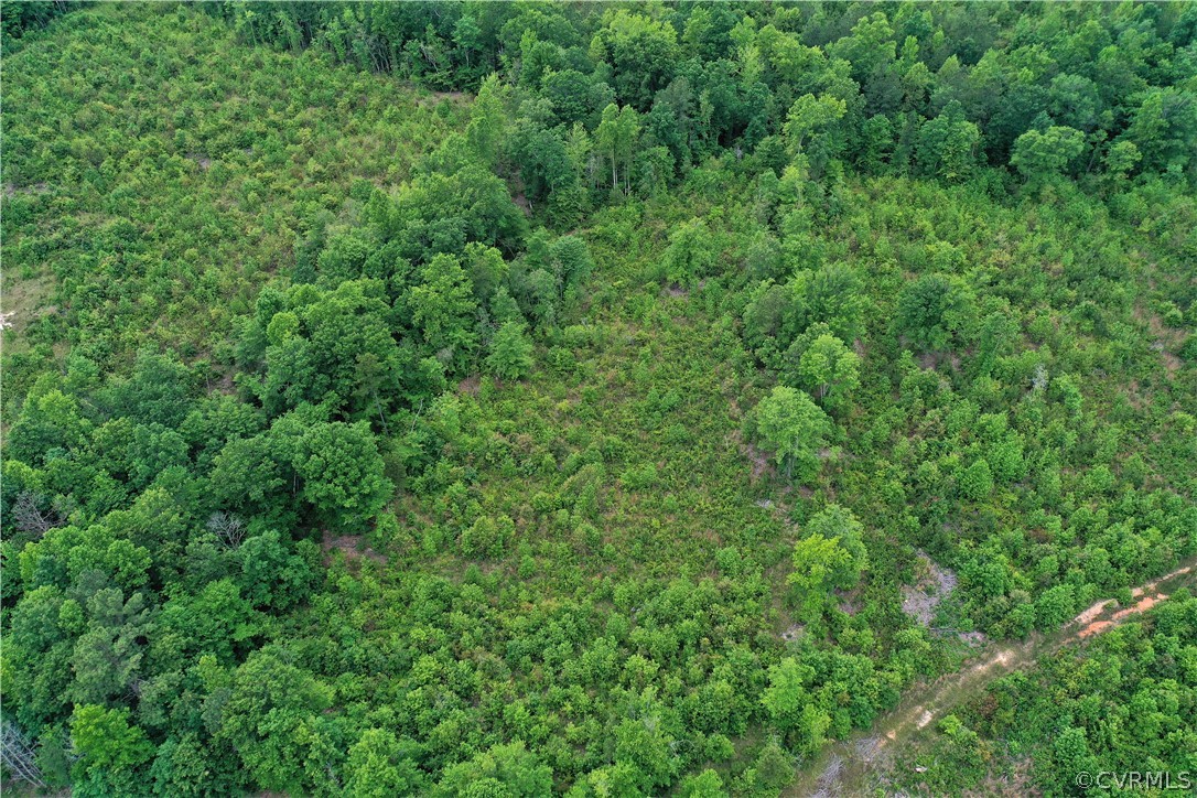 3567 Poorhouse Road Victoria, VA 23974 - Photo 6 of 39
