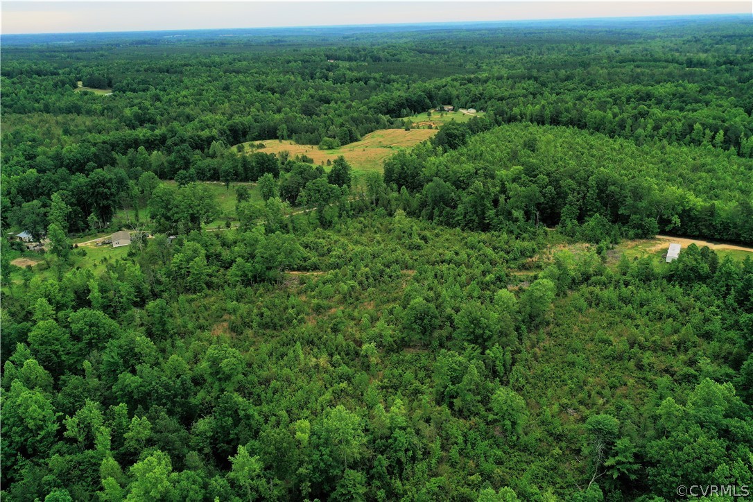 3567 Poorhouse Road Victoria, VA 23974 - Photo 9 of 39