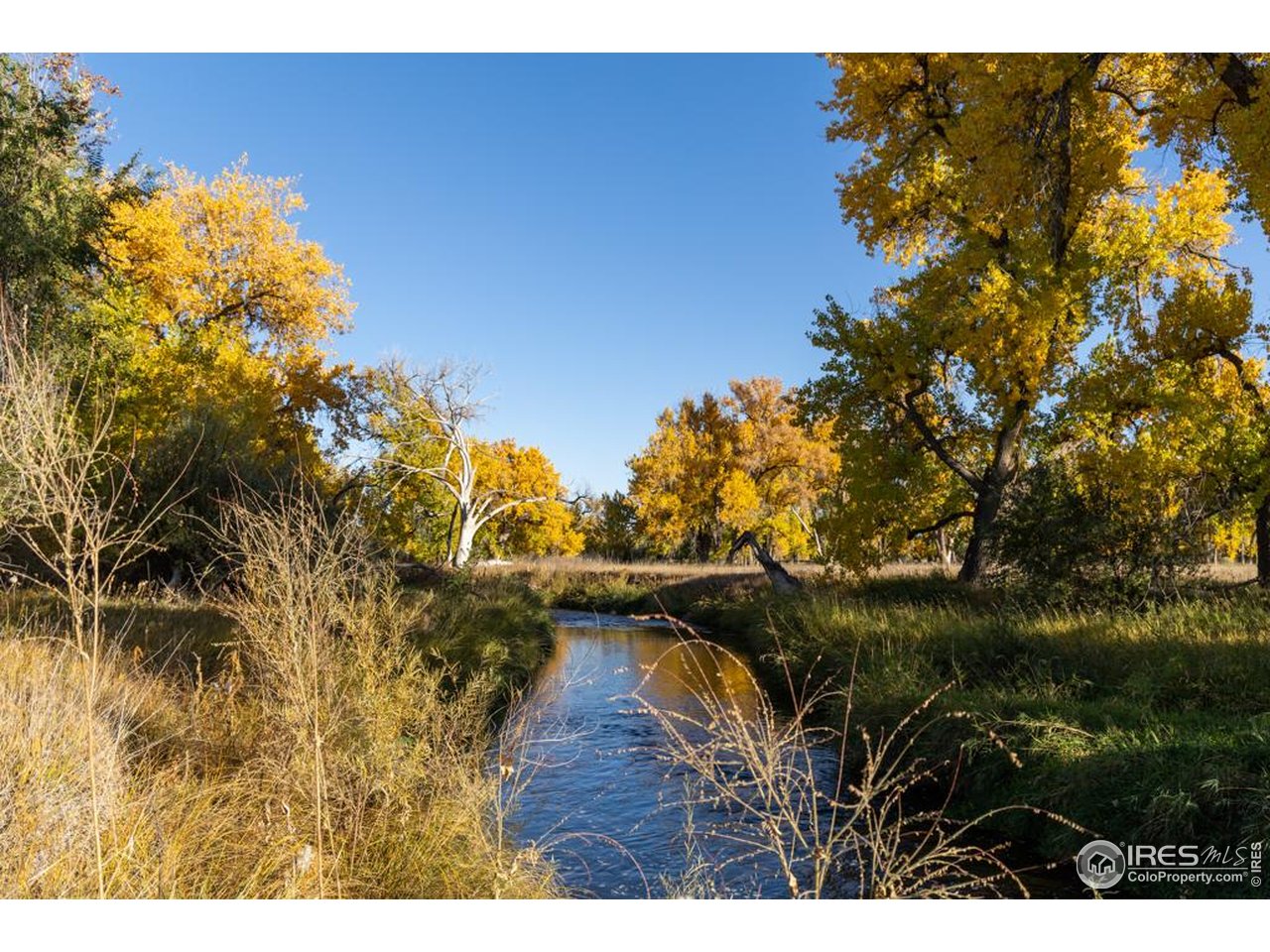 4229 Luchello Court Johnstown, CO 80534 - Photo 6 of 20 a view of swimming pool and lake