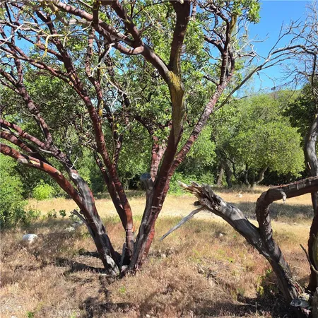 $15,500 | 3367 3rd Street, Clearlake, CA 95422