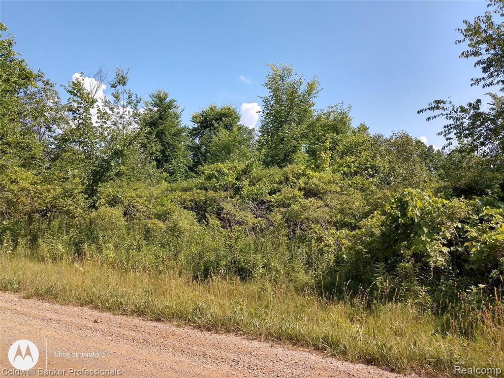 Vl Vl Brimley Road Fowlerville, MI 48836 - Photo 1 of 2