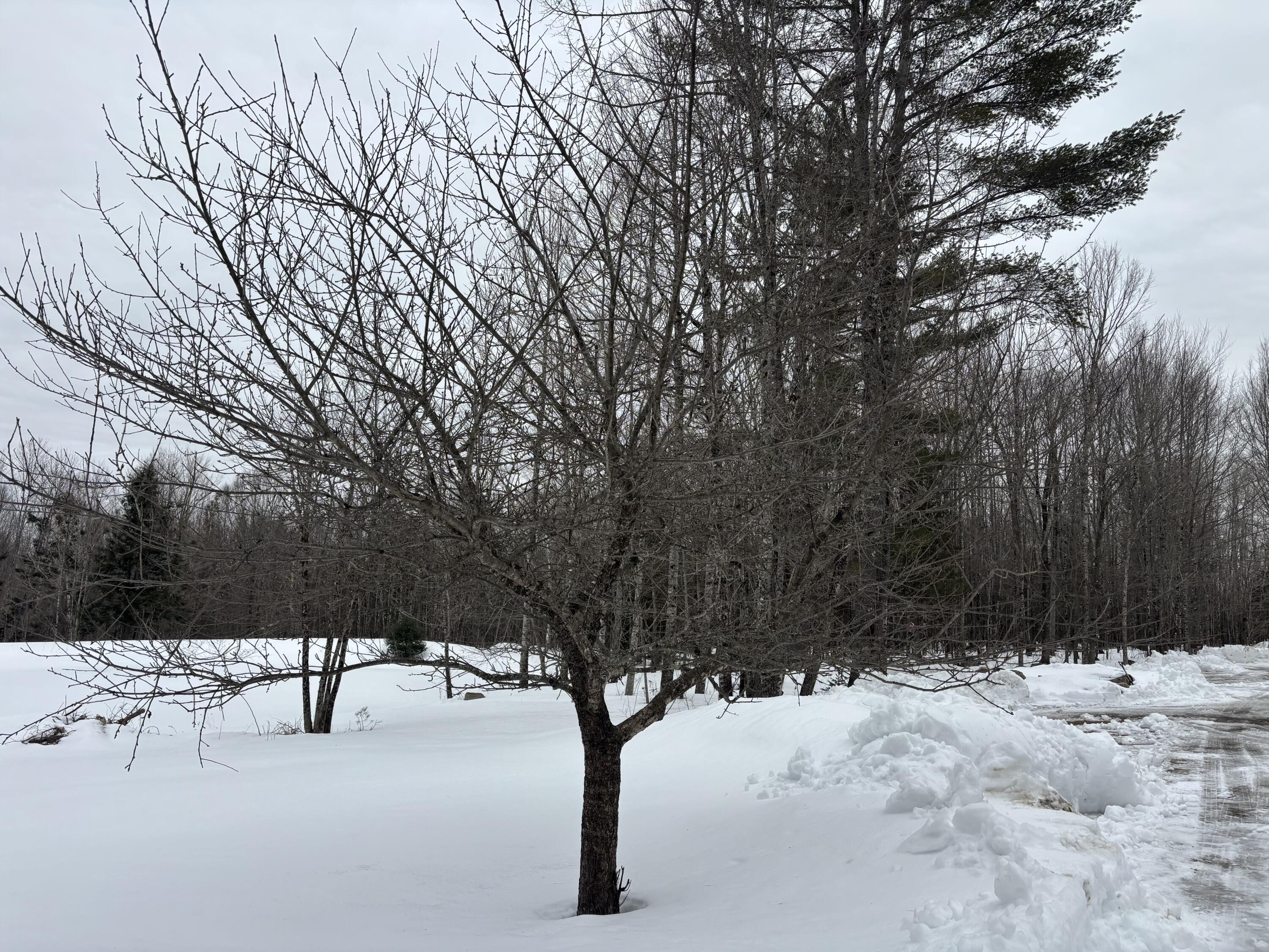 465 Powers Road Pittsfield, ME 04967 - Photo 28 of 40 IMG_6532