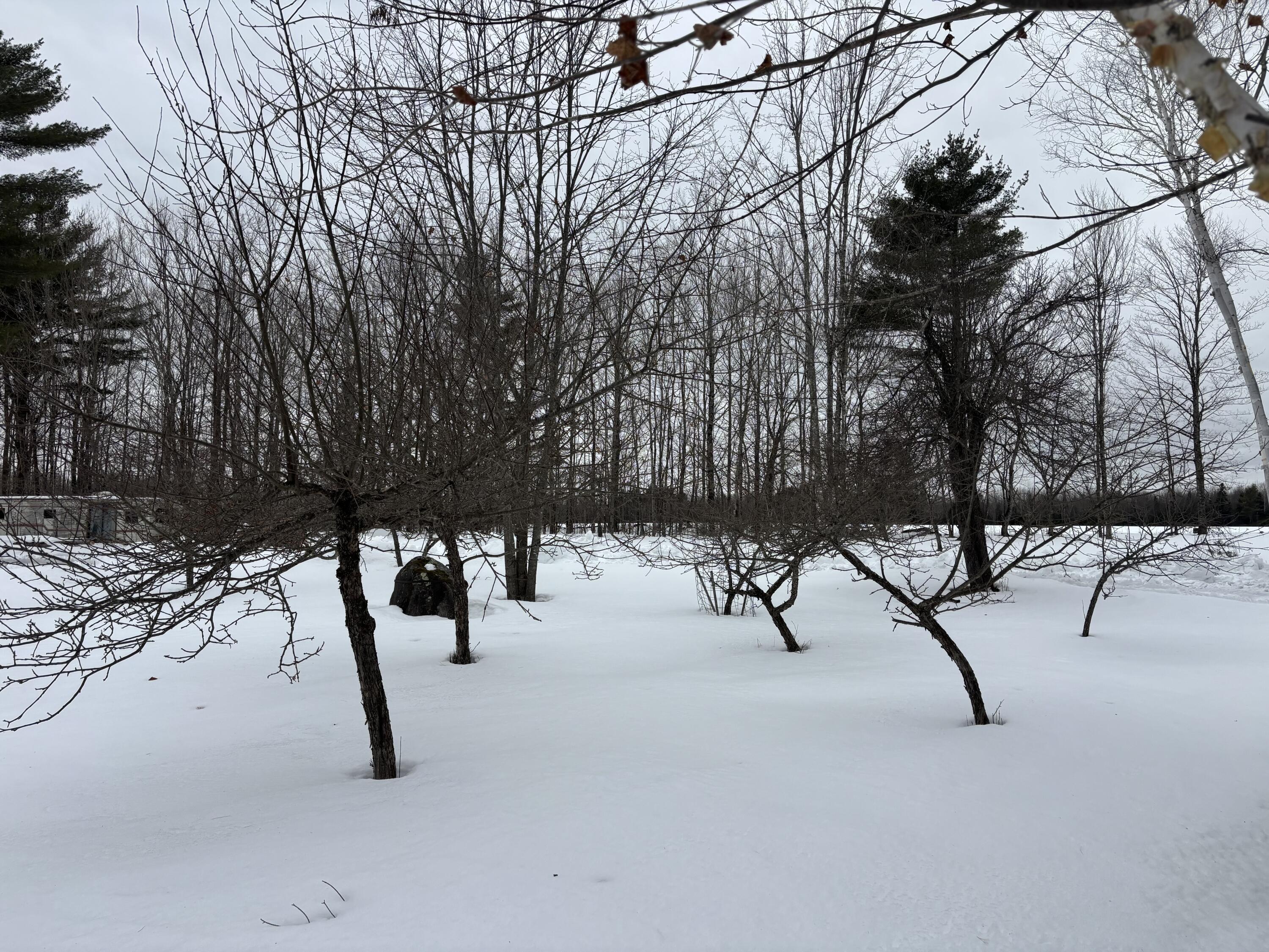 465 Powers Road Pittsfield, ME 04967 - Photo 30 of 40 IMG_6528