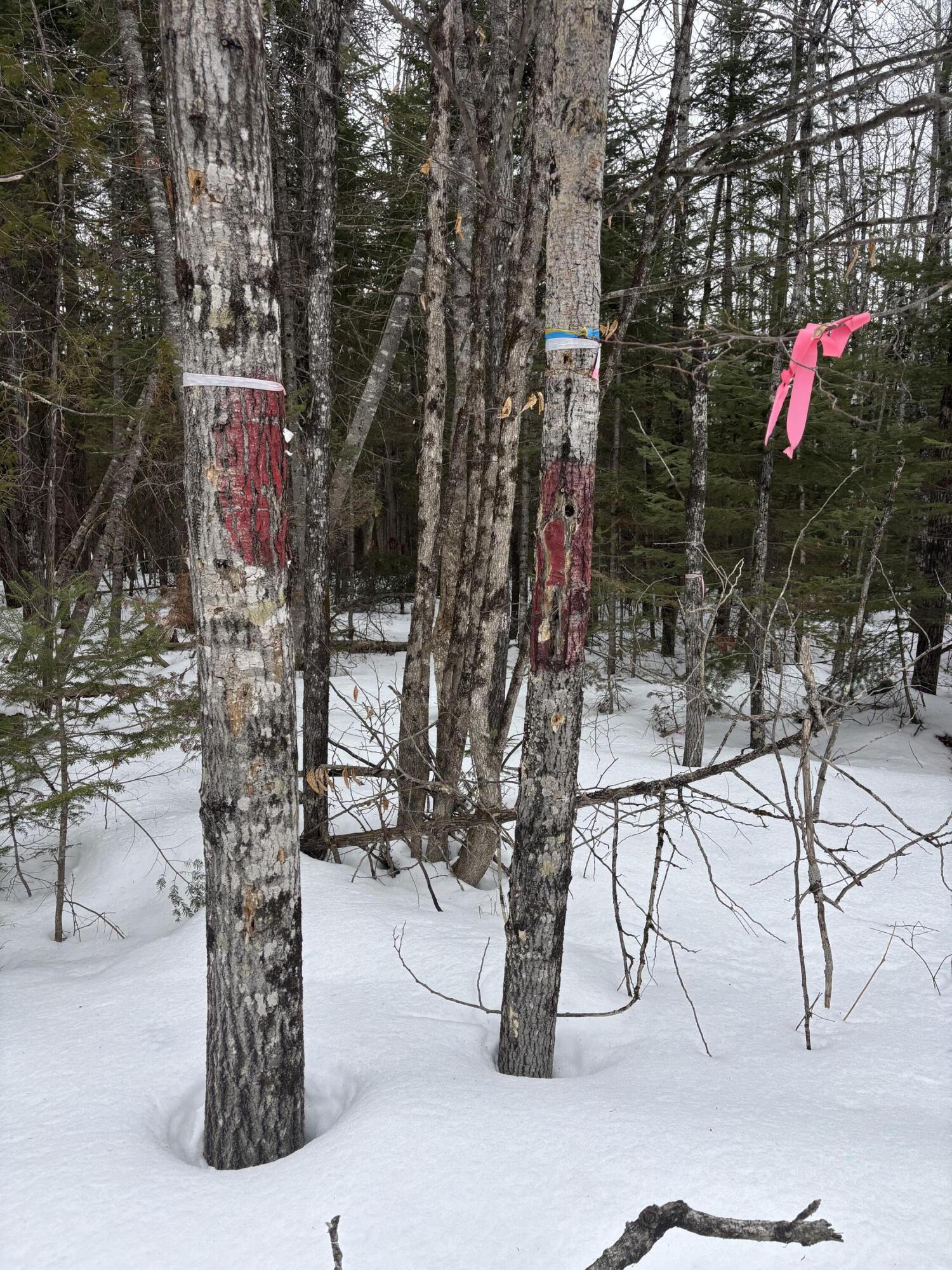 465 Powers Road Pittsfield, ME 04967 - Photo 34 of 40 IMG_6516