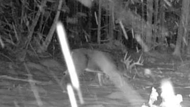 465 Powers Road Pittsfield, ME 04967 - Photo 37 of 40 20251203_014759