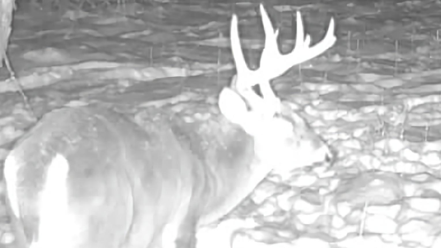 465 Powers Road Pittsfield, ME 04967 - Photo 39 of 40 016579004446568-52-4-12042025193319-SYFW