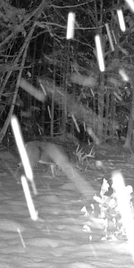 465 Powers Road Pittsfield, ME 04967 - Photo 40 of 40 Resized_016579004271974-40-4-12032025010