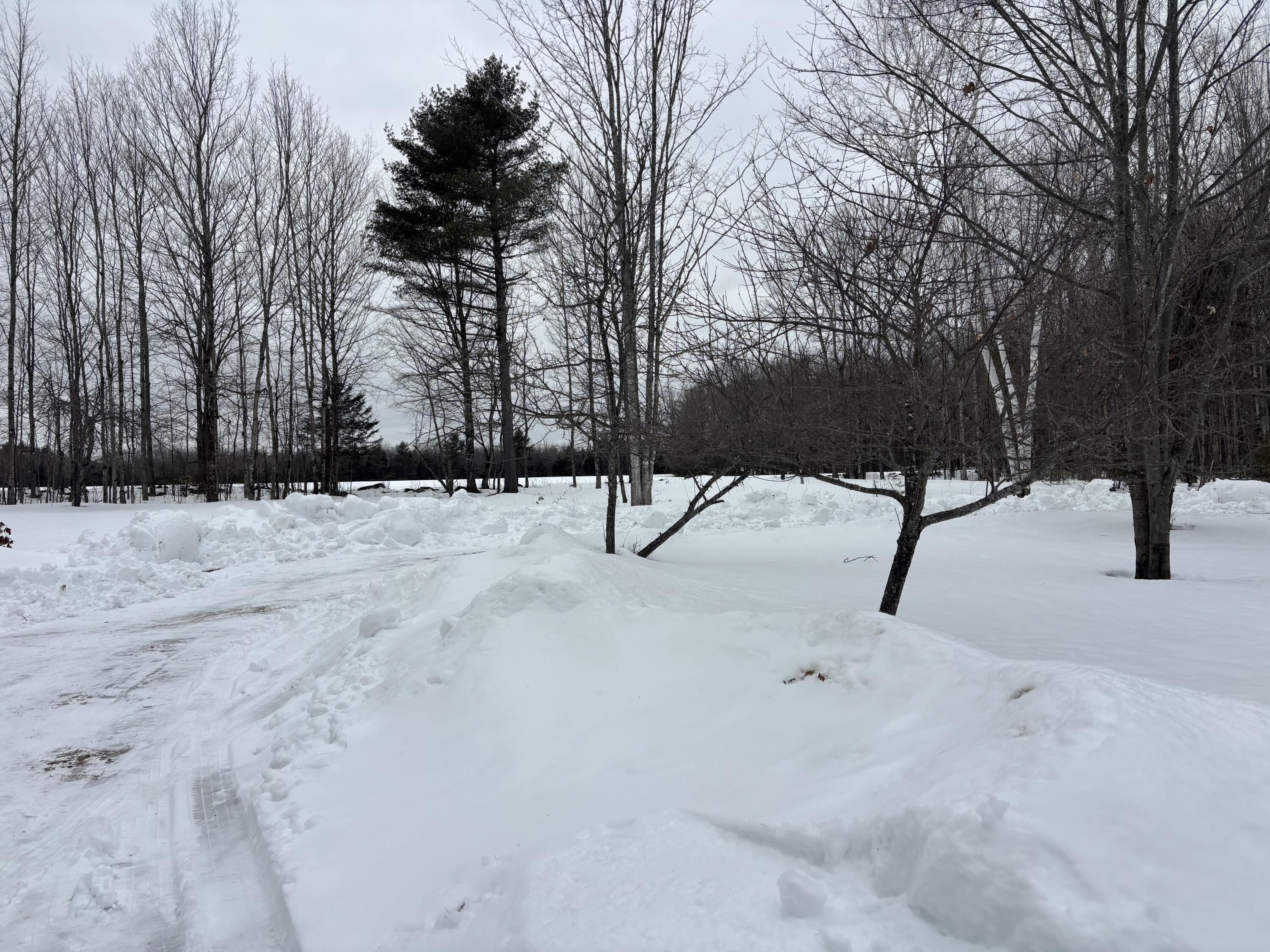 465 Powers Road Pittsfield, ME 04967 - Photo 5 of 40 IMG_6541