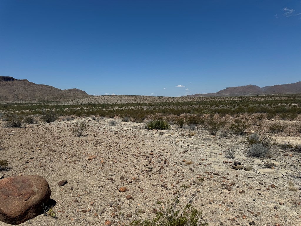 480 Doce Doe Path Alpine, TX 79830 - Photo 5 of 18 Gallery Image 5