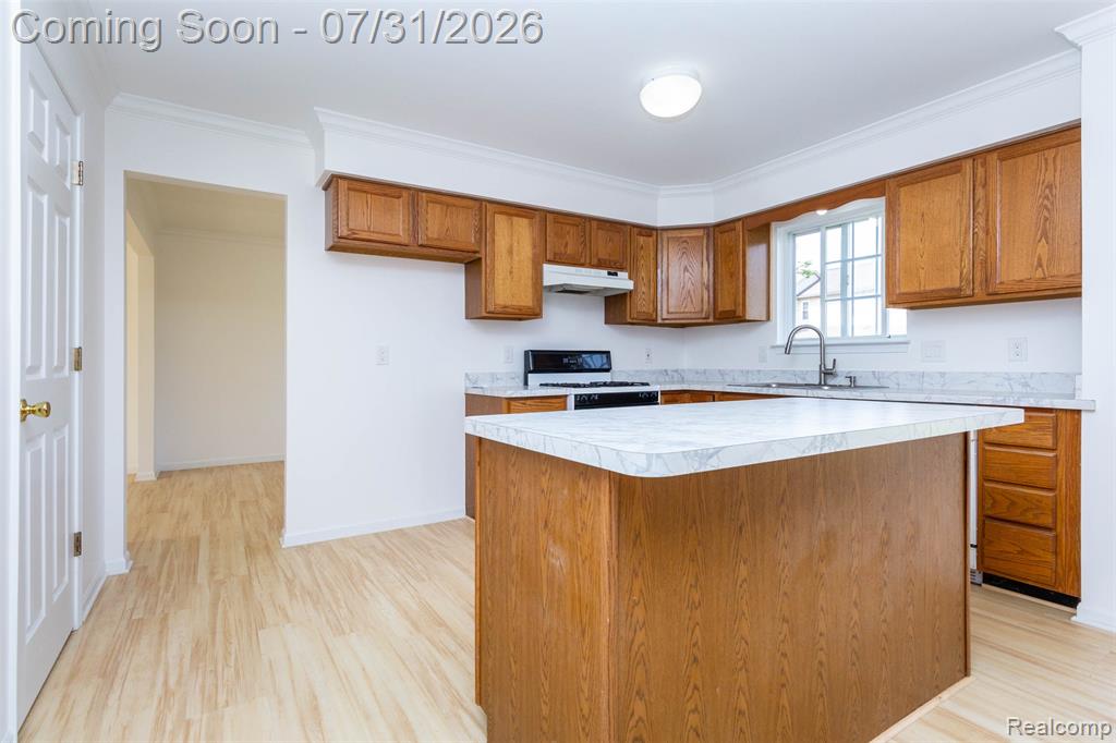 3388 Riverside Drive Canton, MI 48188 - Photo 14 of 48