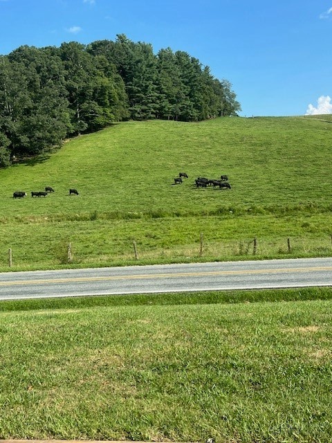 2175 Brown's Chapel Road Boone, NC 28607 - Photo 16 of 16