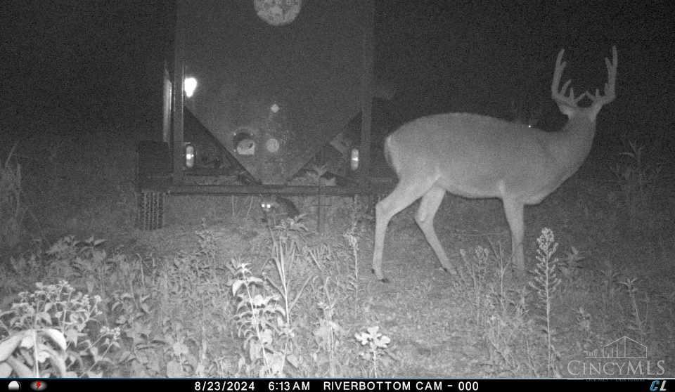 A Enley Road McDermott, OH 45652 - Photo 61 of 97