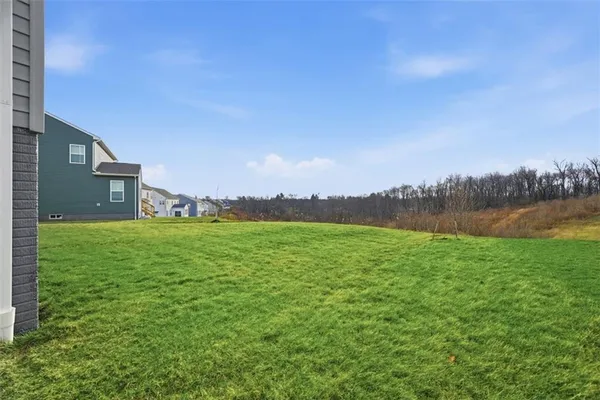 a view of a big yard with a large tree and a yard