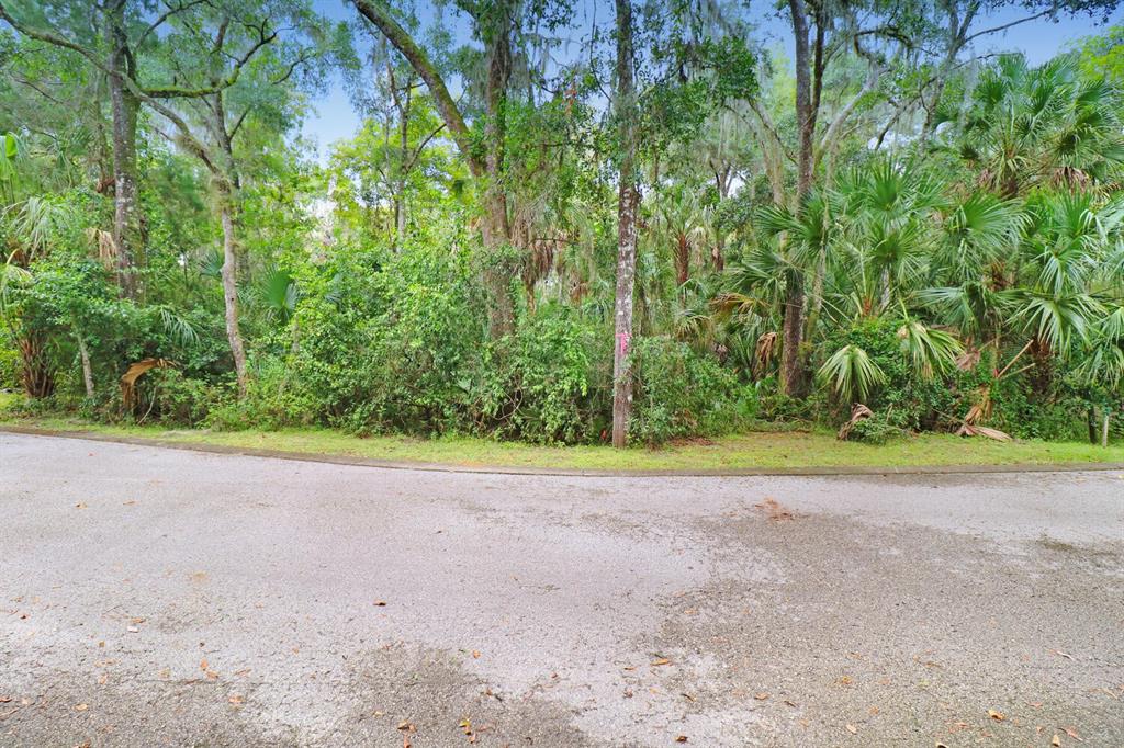 4876 Rambling River Road Brandon, FL 33511 - Photo 1 of 1 a view of a yard with a tree