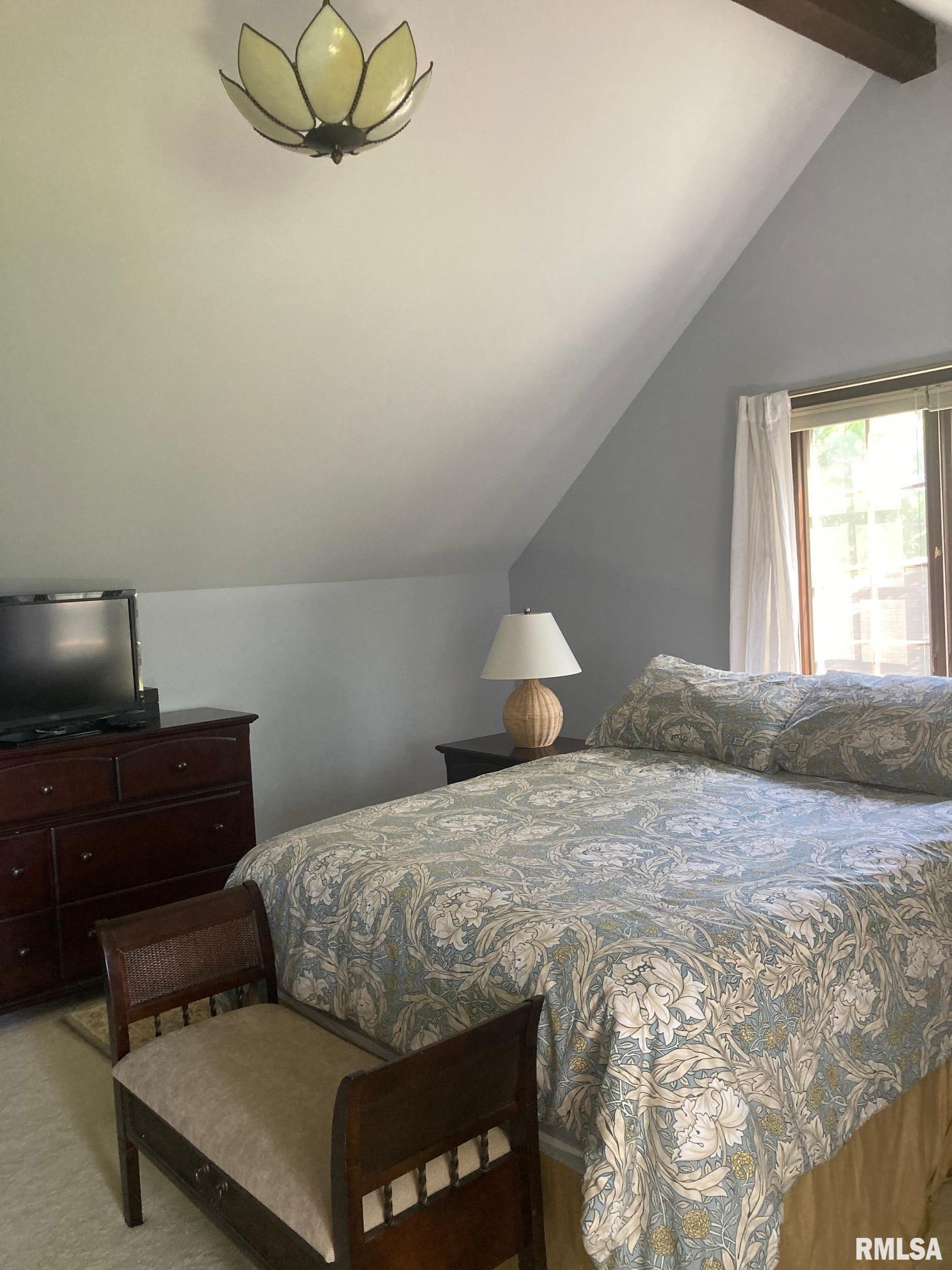 909 South Spring Street Geneseo, IL 61254 - Photo 34 of 56