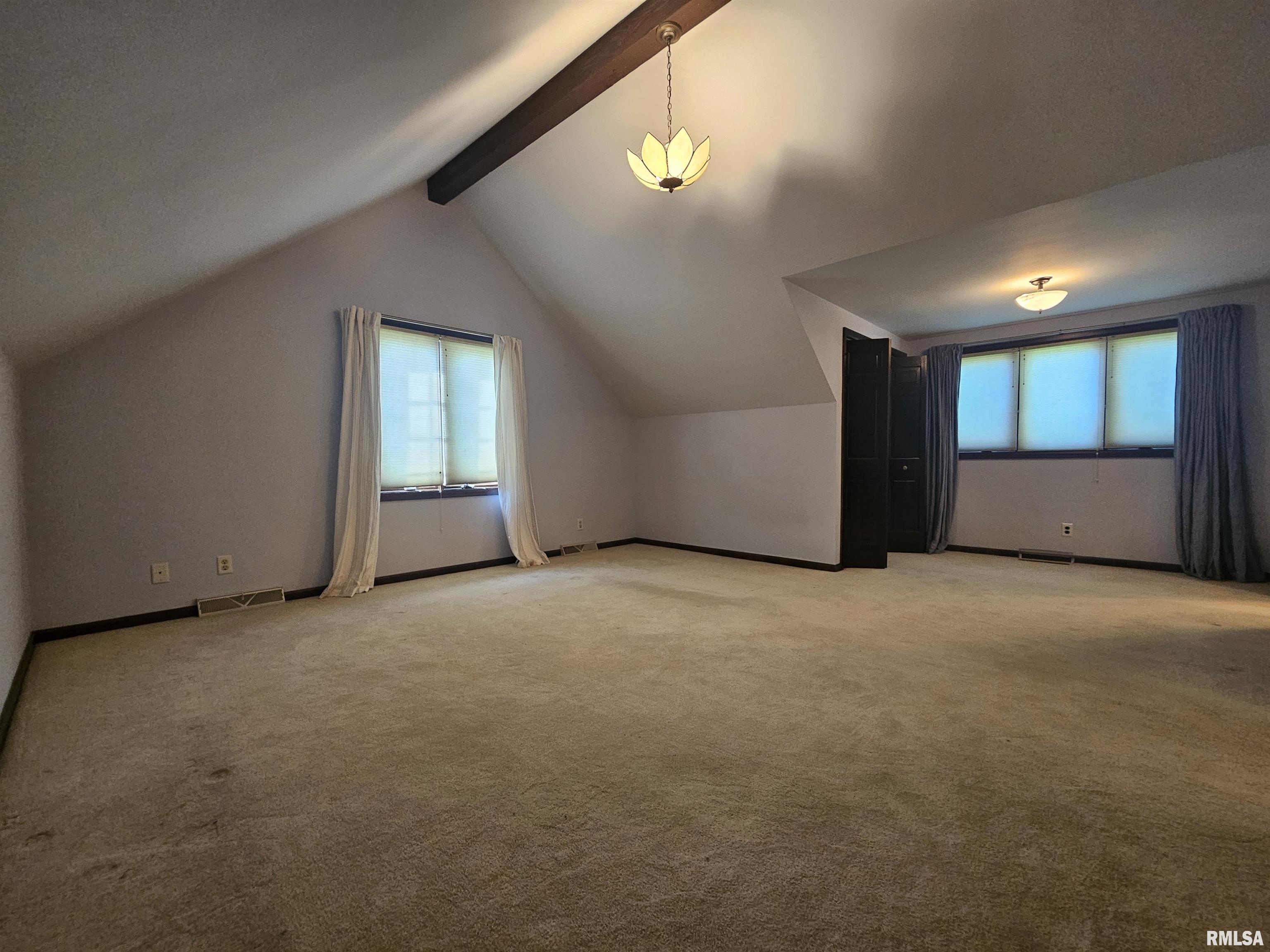 909 South Spring Street Geneseo, IL 61254 - Photo 36 of 56