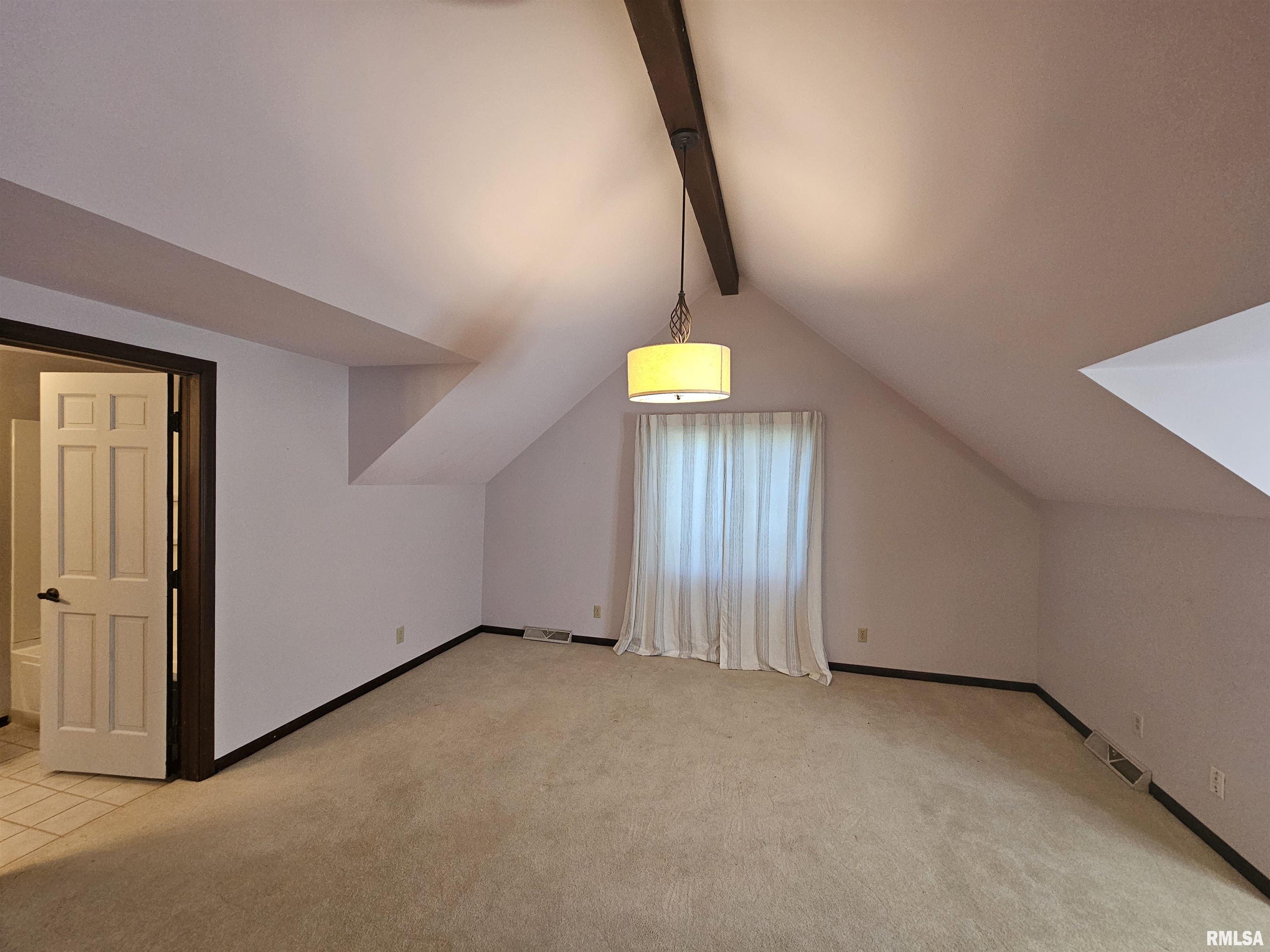 909 South Spring Street Geneseo, IL 61254 - Photo 48 of 56