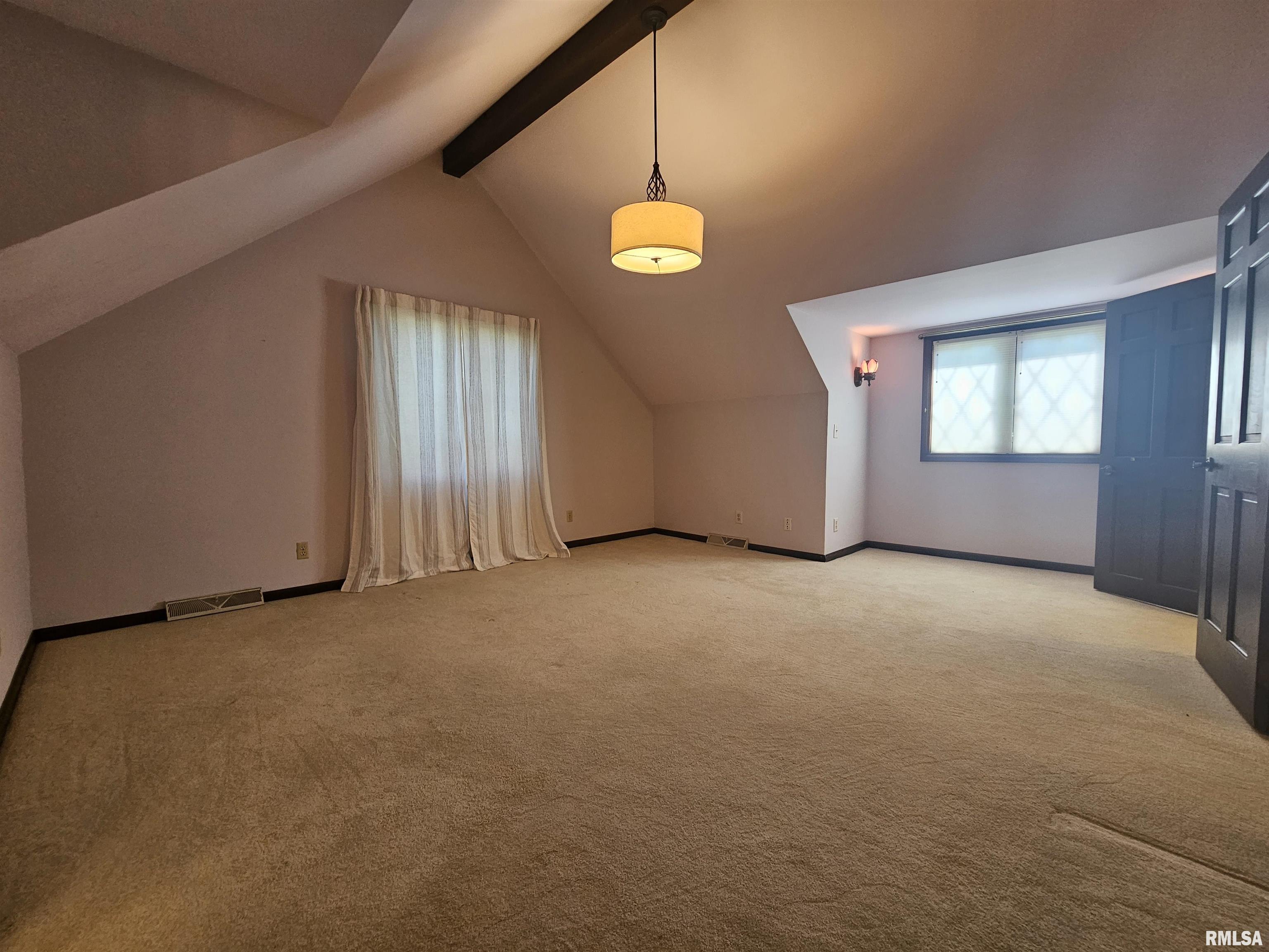 909 South Spring Street Geneseo, IL 61254 - Photo 49 of 56