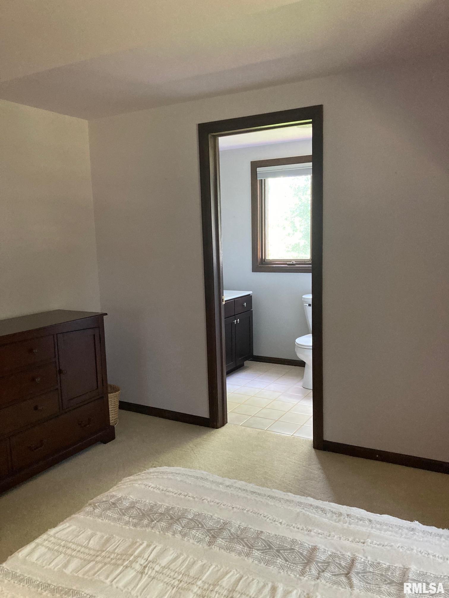 909 South Spring Street Geneseo, IL 61254 - Photo 51 of 56